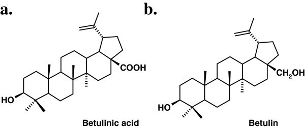 betulin and betulinic-acid