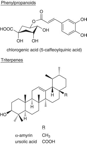 phenylpropanoids and triterpenes