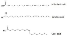 fatty acids
