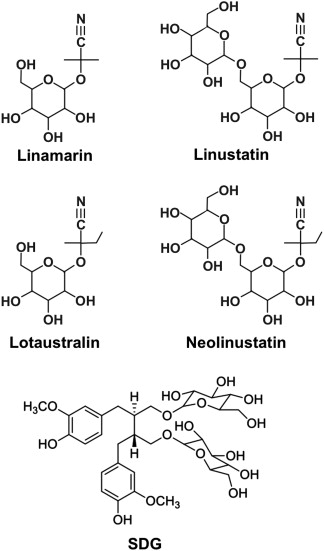 arabinoxylans