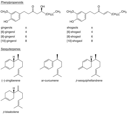 ginger constituents