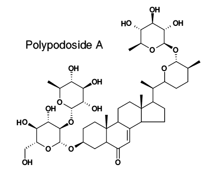 polypodoside A