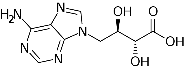 lentinan