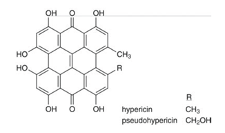 hypericin and pseudohypericin