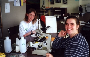 plankton analysis