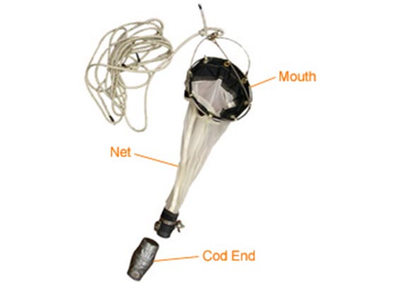 plankton net