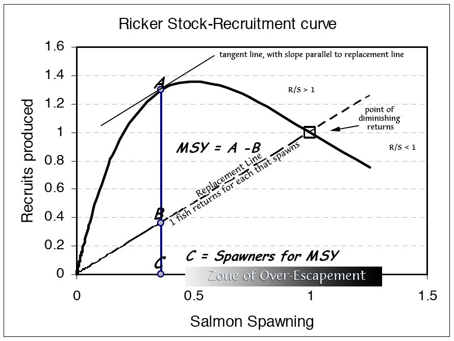 stock-recruitment curve