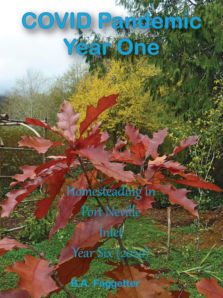 Book Cover: COVID Pandemic Year One
