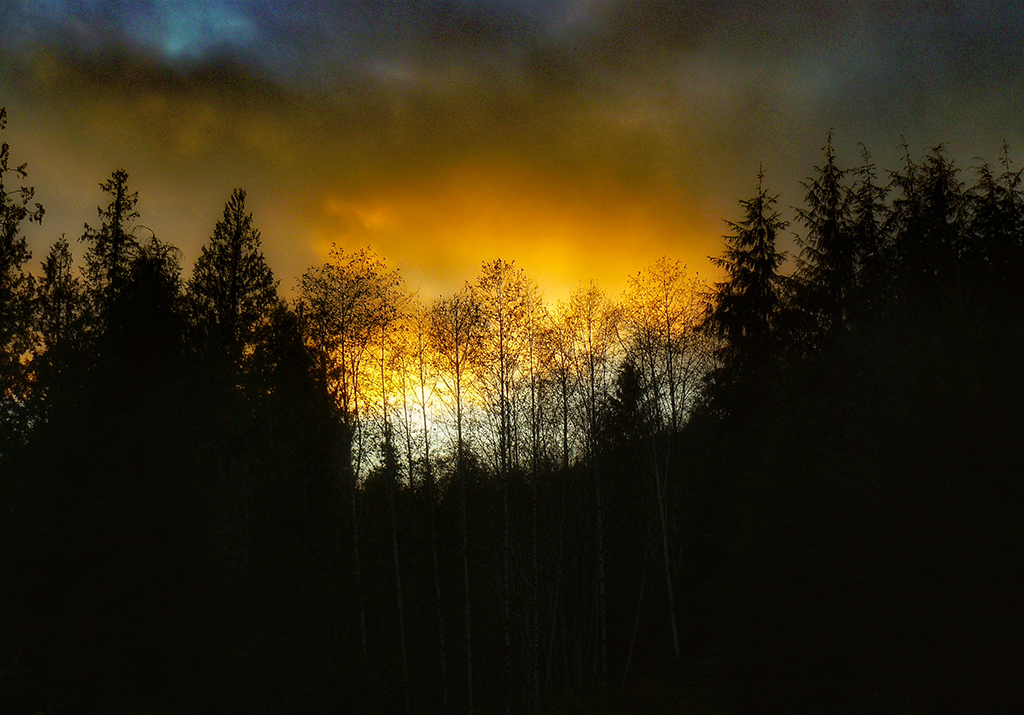 We’re still here!!