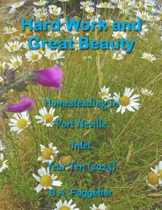 Book Cover: Hard Work and Great Beauty