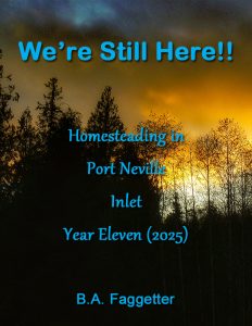 Book Cover: We're Still Here!!